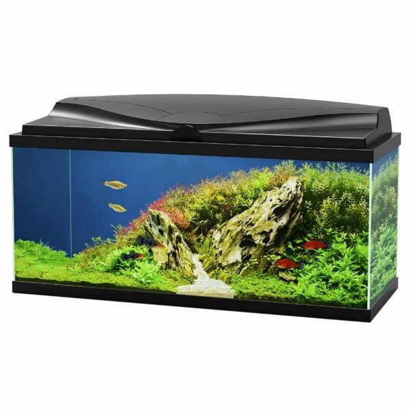 Ciano aquarium LED Bio Zwart - 74 liter - 80x30x41,5 cm