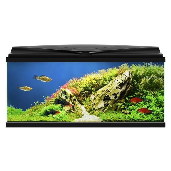 Ciano aquarium LED Bio Zwart - 74 liter - 80x30x41,5 cm - Afbeelding 2