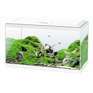Ciano AQUA 60 LED - 60x30x41cm - Wit