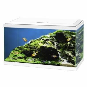 Ciano AQUA 60 LED BIO - 60x30x41 cm - Wit