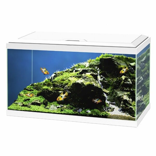 Ciano AQUA 60 LED BIO - 60x30x41 cm - Wit