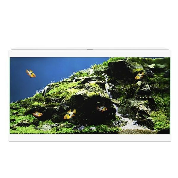 Ciano AQUA 60 LED BIO - 60x30x41 cm - Wit - Afbeelding 3