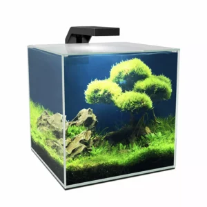 Ciano CUBE 10 LED 9,5L - 22x22,8x26,2cm