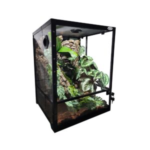 Terrarium