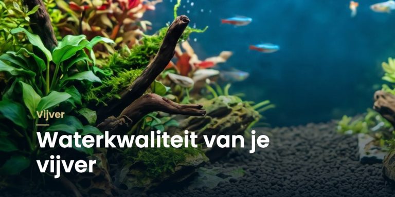 Beplant aquarium met neontetra's en de titel "Waterkwaliteit van je vijver"